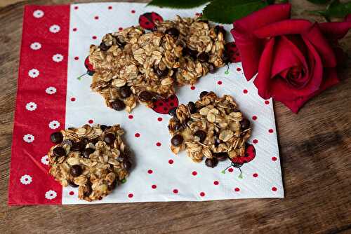 Cookies aux flocons d'avoine (sans farine, sans oeuf, sans beurre, sans sucre)