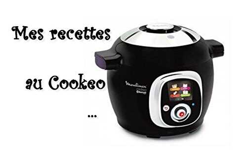 Mes recettes au Cookeo (index de Recettes) - Les petits plats de Patchouka