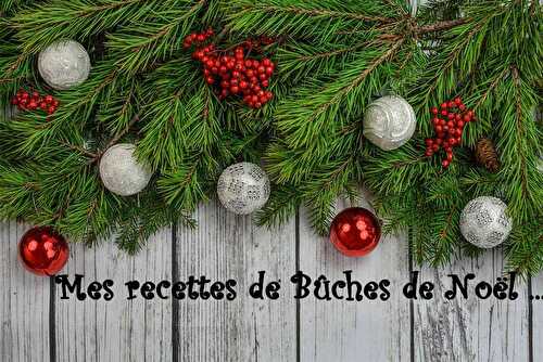 Mes recettes de Bûches de Noël ... (index) - Les petits plats de Patchouka