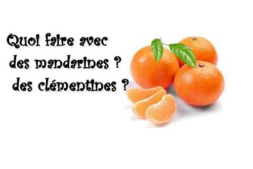 Quoi faire avec des mandarines et des clémentines - Les petits plats de Patchouka