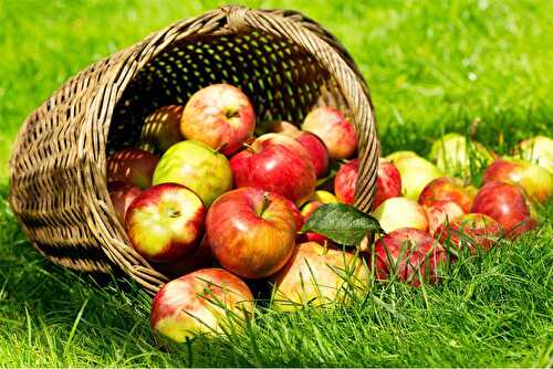 Quoi faire avec des pommes - Les petits plats de Patchouka