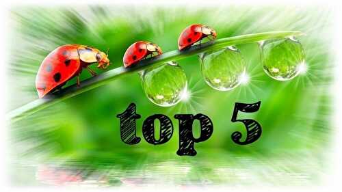 Top 5 - Avril 2013 - Les petits plats de Patchouka