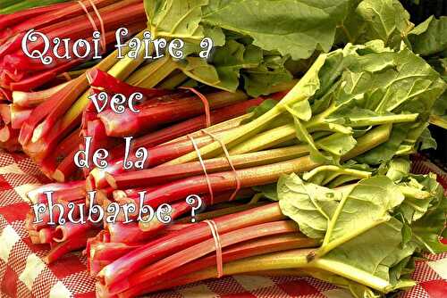 Quoi faire avec de la Rhubarbe ? - Les petits plats de Patchouka