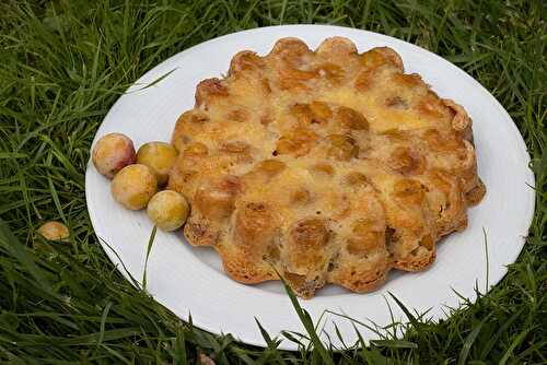 Gâteau renversé aux mirabelles