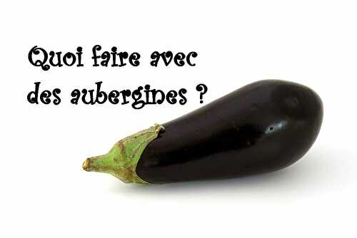 Quoi faire avec des aubergines ? - Les petits plats de Patchouka