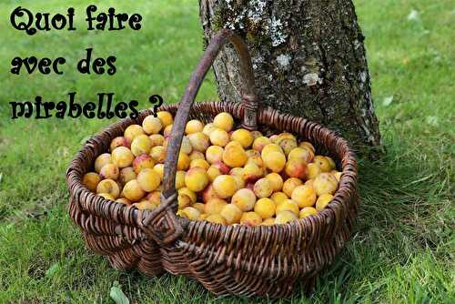 Quoi faire avec des mirabelles.. - Les petits plats de Patchouka