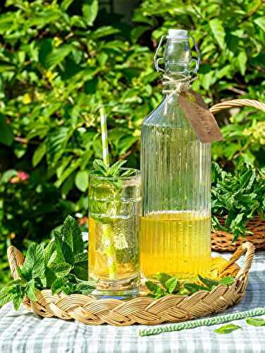 Sirop de menthe maison