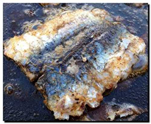 Filets de sardines au citron à la plancha - Les plaisirs de la bouche