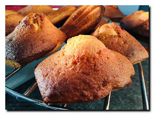 Madeleines au miel et fleur d'oranger