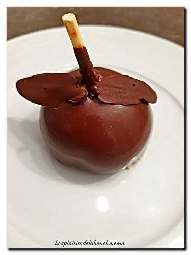 Pomme d'amour chocolat vanille et insert framboise - Les plaisirs de la bouche