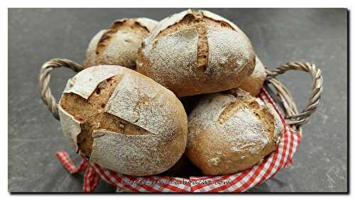 Miches de pain aux noix.