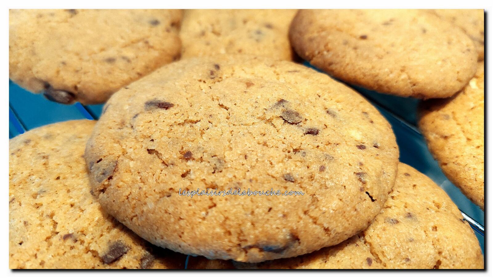 Cookies au chocolat ou nature