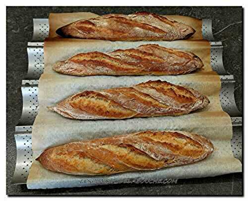 Baguettes avec repos de 48 h