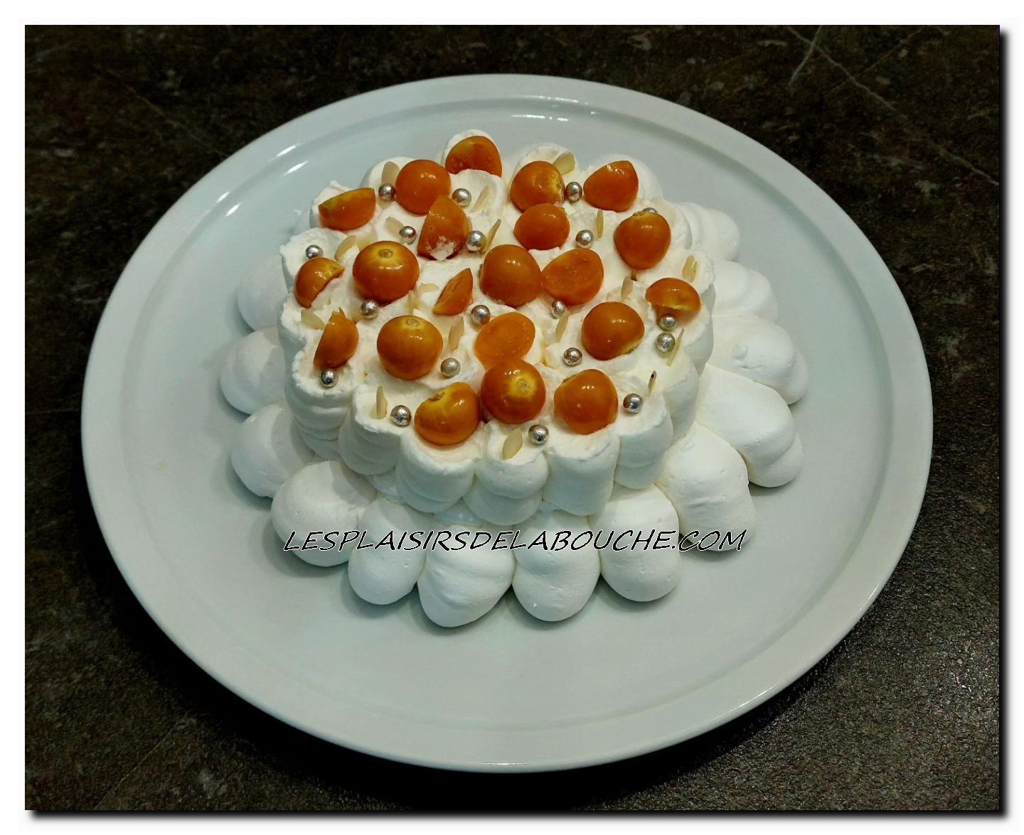 Pavlovas aux physalis 