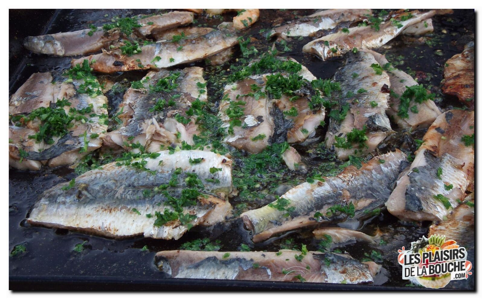 Filets de sardine persillées
