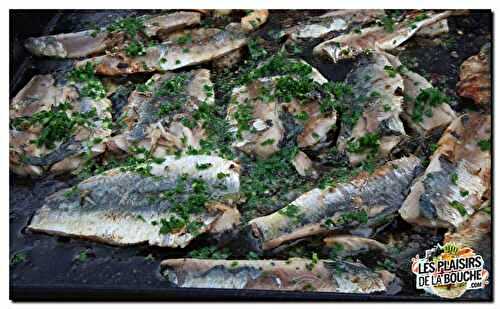 Filets de sardine persillées