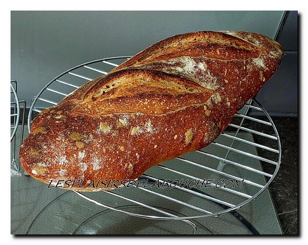 Pain de campagne