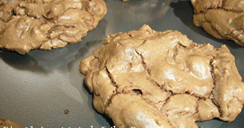 Biscuits double chocolat à la mayonnaise