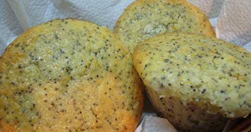 Muffins aux agrumes et aux graines de pavot