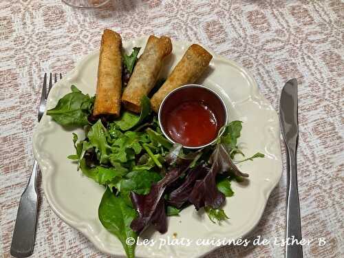 Rouleaux de won ton frits