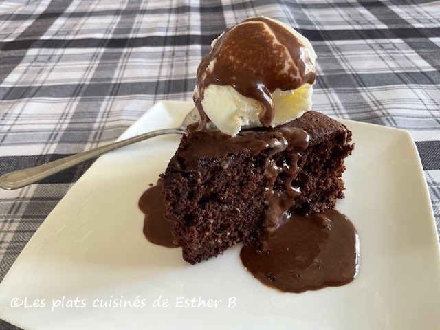 Gâteau noix de coco et chocolat 