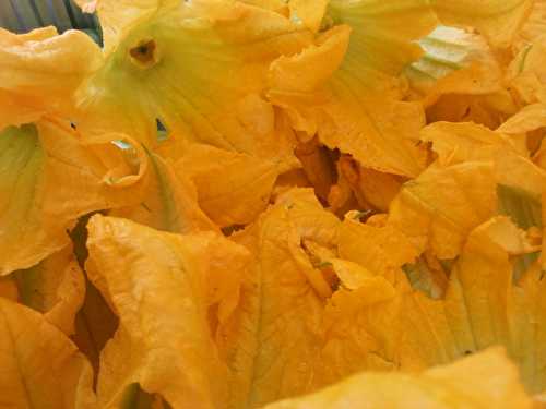 Fleurs de courgettes farçies
