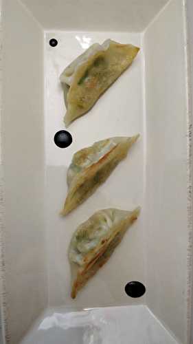 Gyozas au saumon et épinard