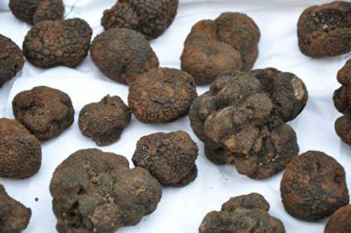 Marché de la Truffe et de la Gastronomie à Rognes