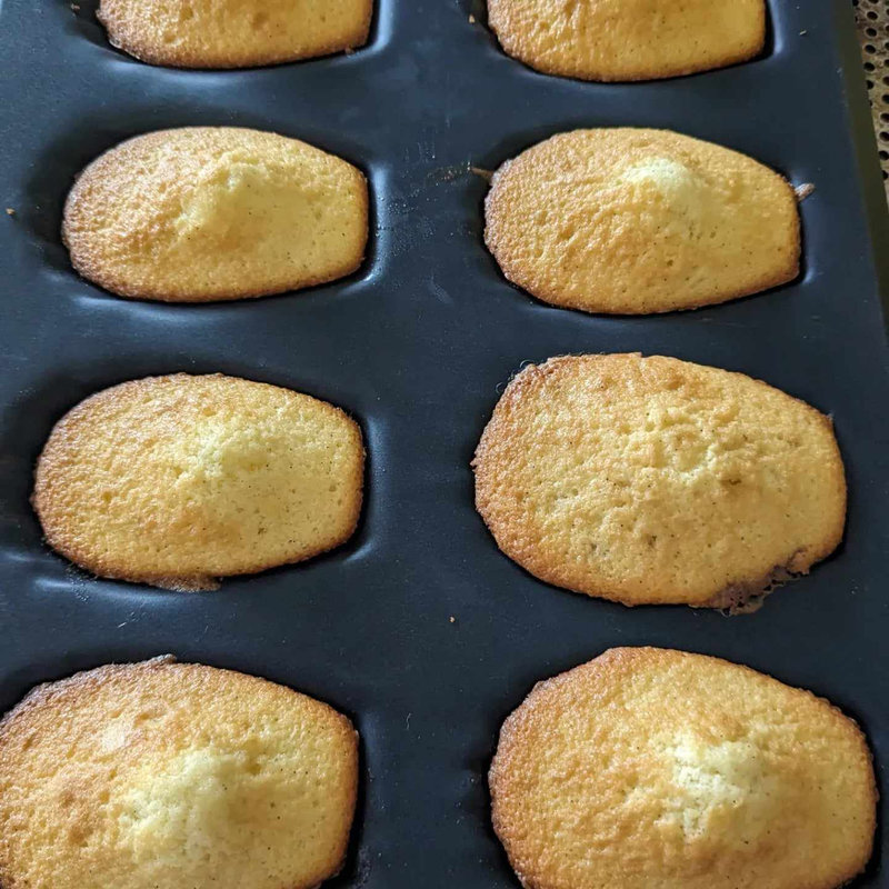 Madeleines 