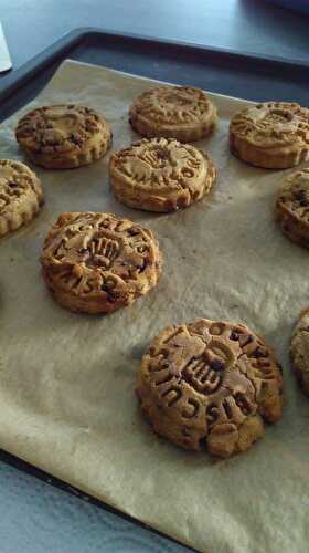 Cookies banane coco chocolat (sans gluten, sans lait animal, sans oeufs, sans fruits à coque, sans soja, sans arachide, sans pois, et sans sucres ajoutés !)