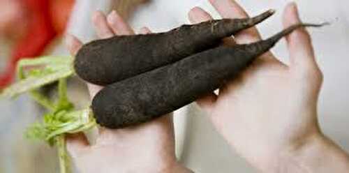 Velouté radis-noir coco (sans allergènes majeurs, ni pois, ni maïs)