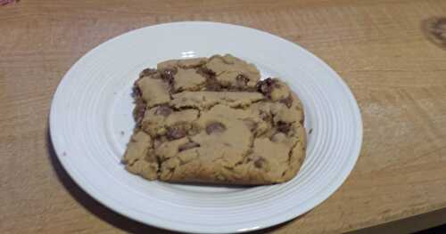 BISCUITS MOELLEUX AUX GRAINS DE CHOCOLAT  (CHIPITS)