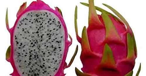 CONNAISSEZ-VOUS LE PITAHAYA ?