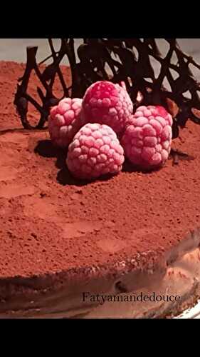 Gâteau crousti fondant aux deux chocolats