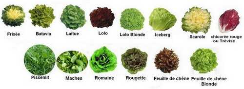 Astuces pour vos salades