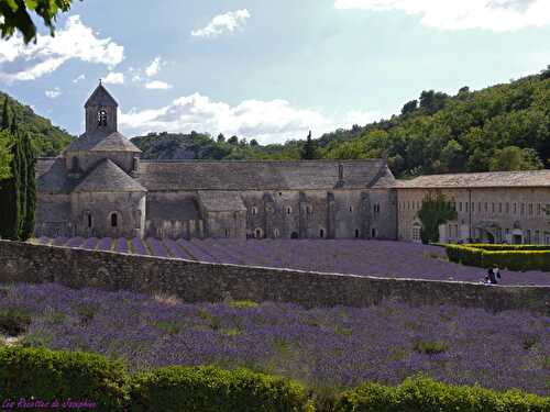 La Route de la Lavande : Abbaye de Sénanque - Sault