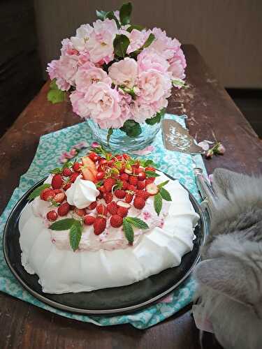 Pavlova aux Fraises des Bois et peut-être bientôt une Tarte au Chat !