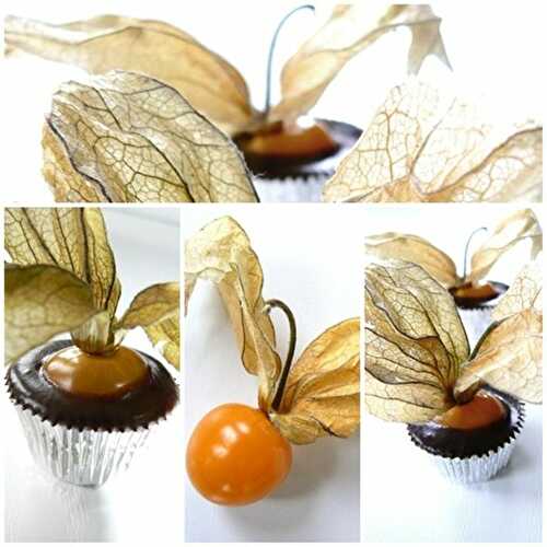 Petites Bouchées d'Amour en Cage ou Physalis au Chocolat Noir