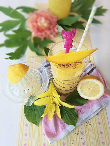 Smoothie Ananas - Mangue - Passion entre autres !