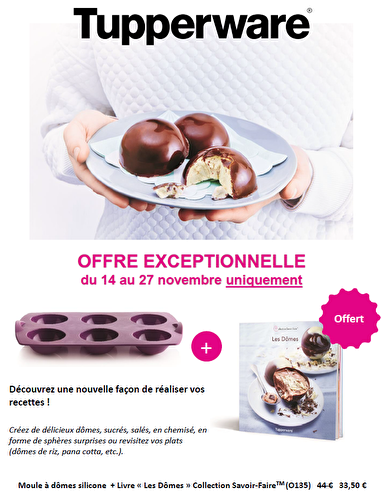 DERNIERE SEMAINE POUR PROFITER des Moule à Dômes Tupperware