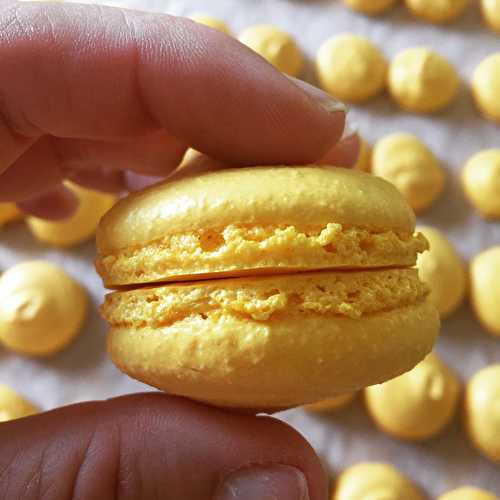 Formation Visiochef, les Macarons du Chef Clément