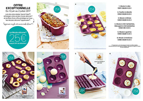 Promo de Juin Tupperware : les moules silicones !