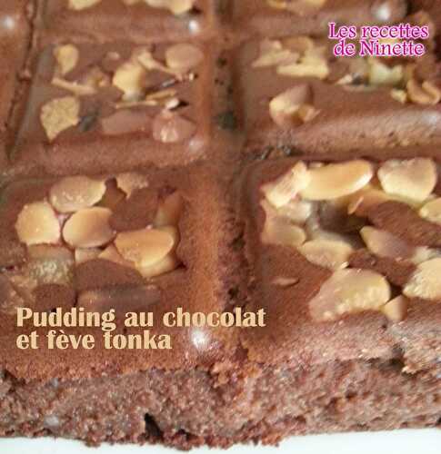 Pudding au chocolat et fève tonka - Les recettes de Ninette