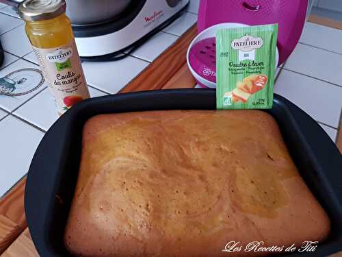 Gâteau marbré à la mangue