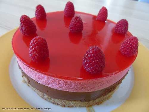 Bavarois framboises / chocolat sur biscuit aux amandes et noisettes