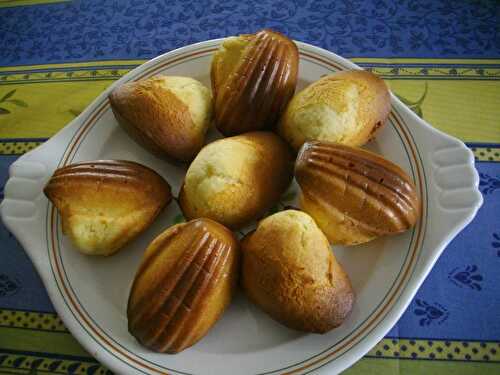 Madeleines au miel