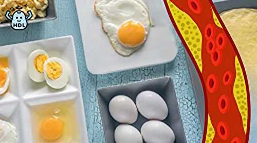 Combien d'œufs peut-on consommer sans affecter le taux de cholestérol ?