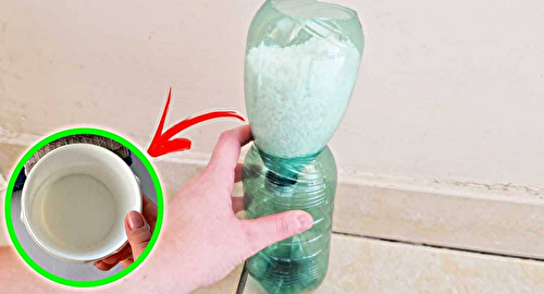 Comment enlever l'humidité à la maison avec une bouteille