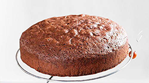 Gâteau au cacao classique - découvrez maintenant - Recette Mixte