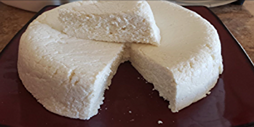 Fromage frais 1 yaourt au Thermomix  : Recette facile !